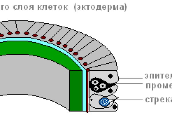 Площадка кракен kraken clear com