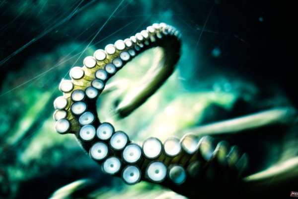 Kraken официальный сайт вход